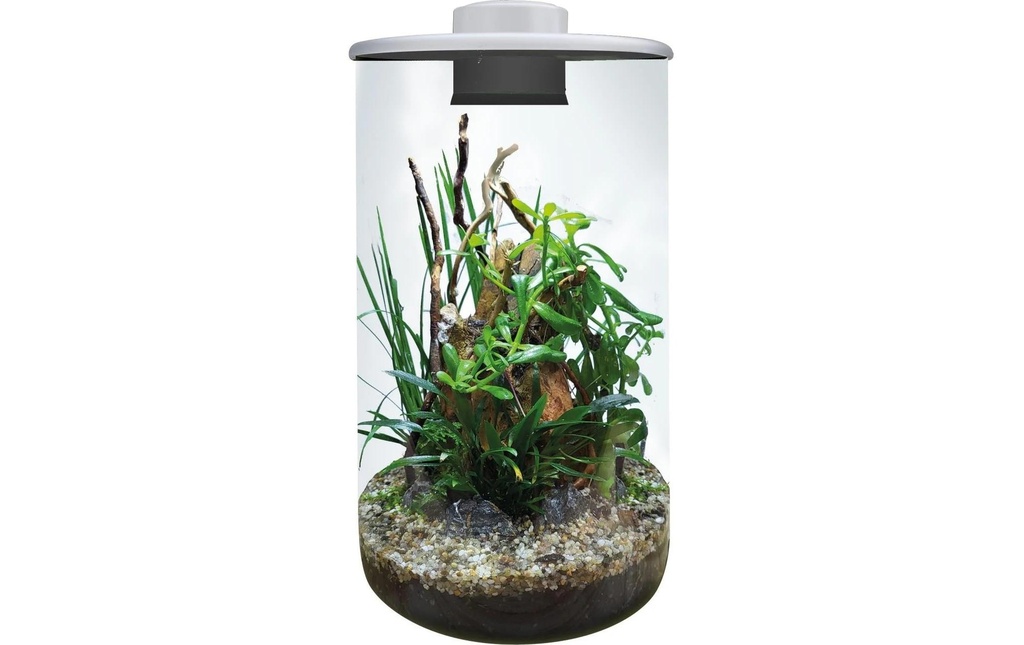 Bio Art Pot de plantes Cylindre 285 Blanc