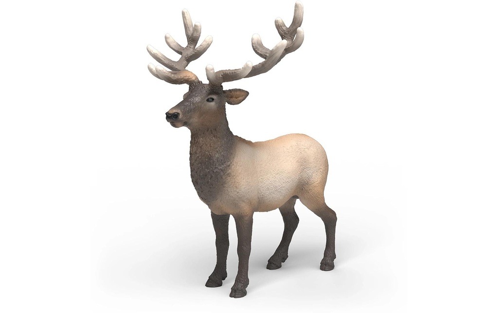 Schleich Figurine de jeu Cerf élaphe américain