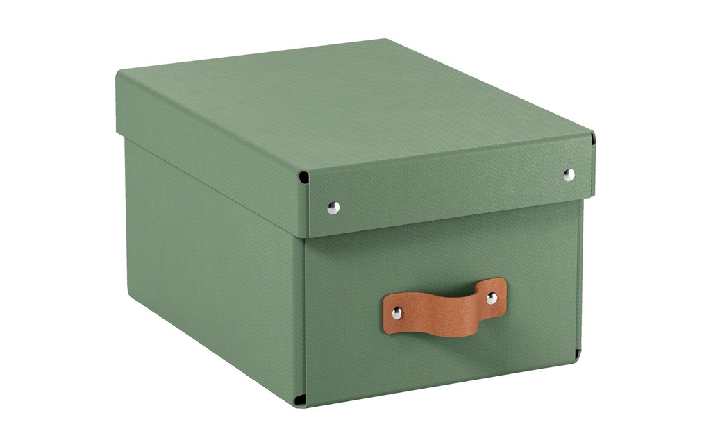 Leitz Boîte d'archives Puro petite, avec couvercle à charnière 2 pièces, Vert clair