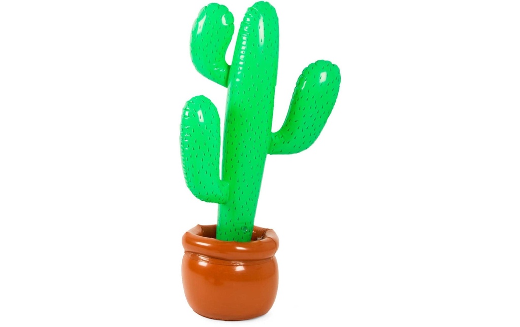 Folat Accessoires gonflable Cactus Brun/Vert