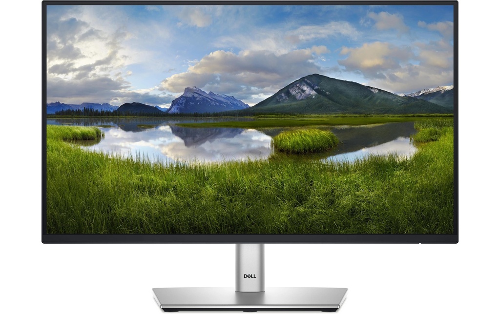 Dell Moniteur P2225H 21.5 , 1920 x 1080 (Full HD)