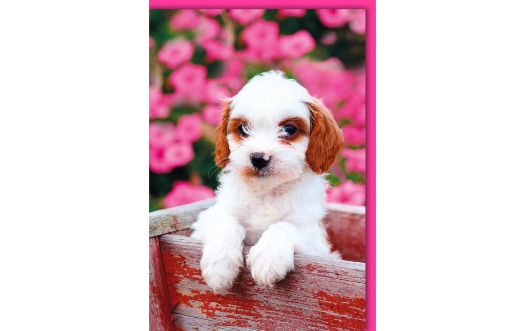 Braun + Company Carte à motif Chiot 11.5 x 17 cm