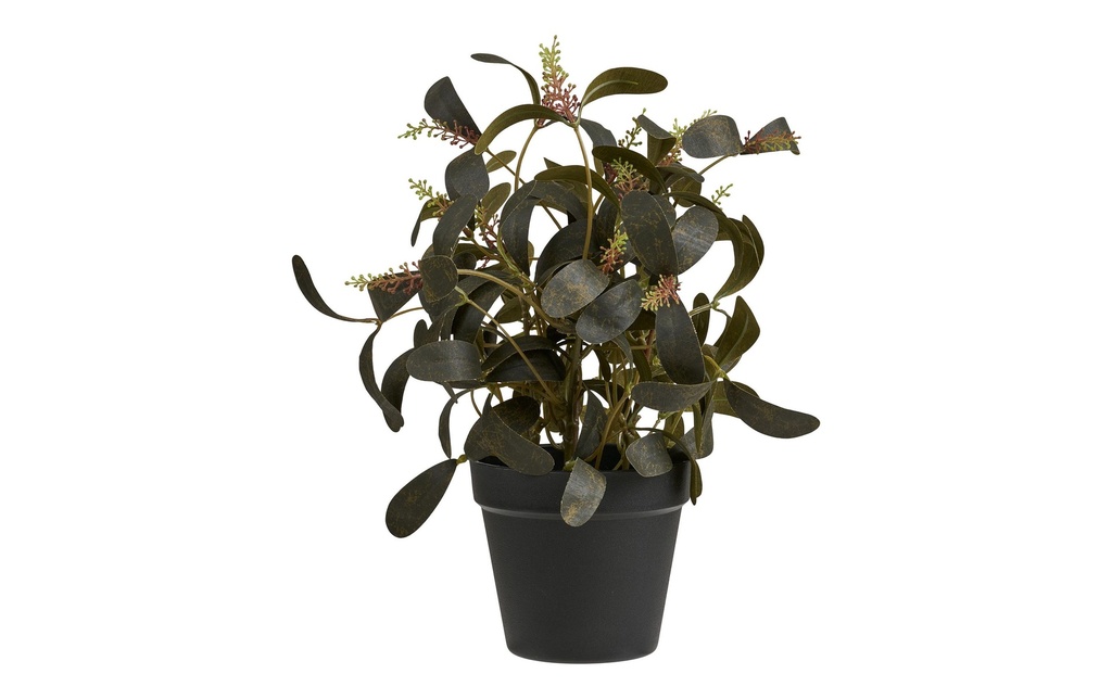 House Nordic Plante artificielle 35 cm