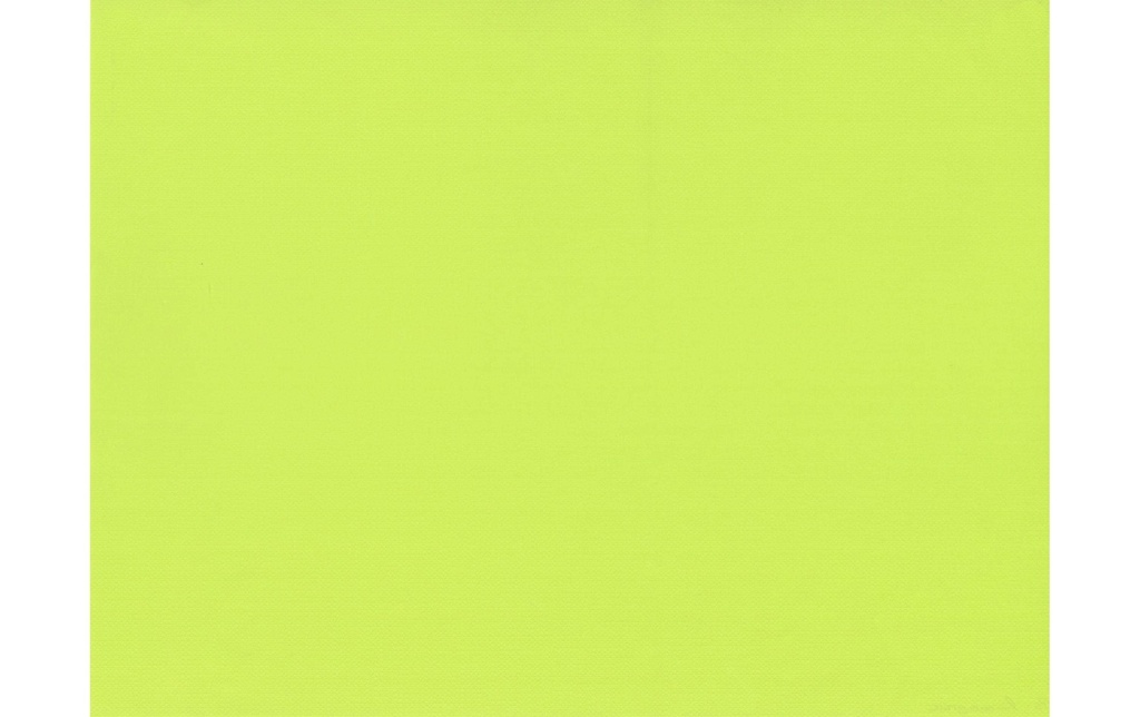 Papstar Set de table 30 cm x 40 cm, Vert