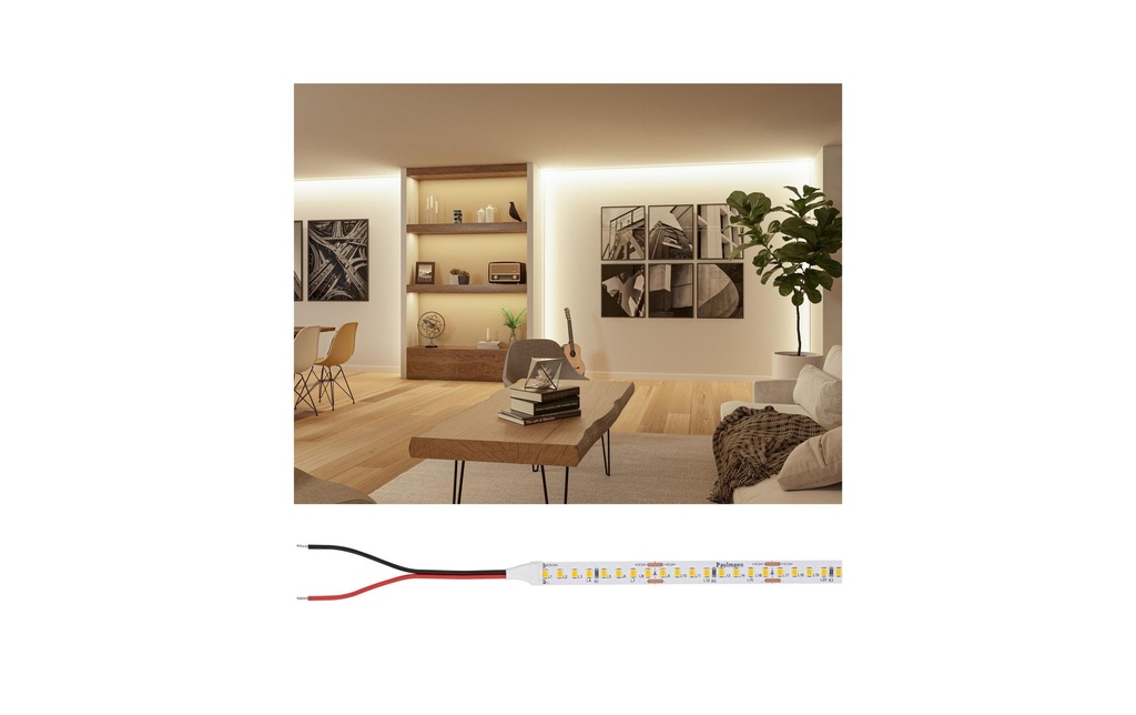 Paulmann Pro LED Strip Silver P150 827 5m 50W 160LEDs/m 2700K