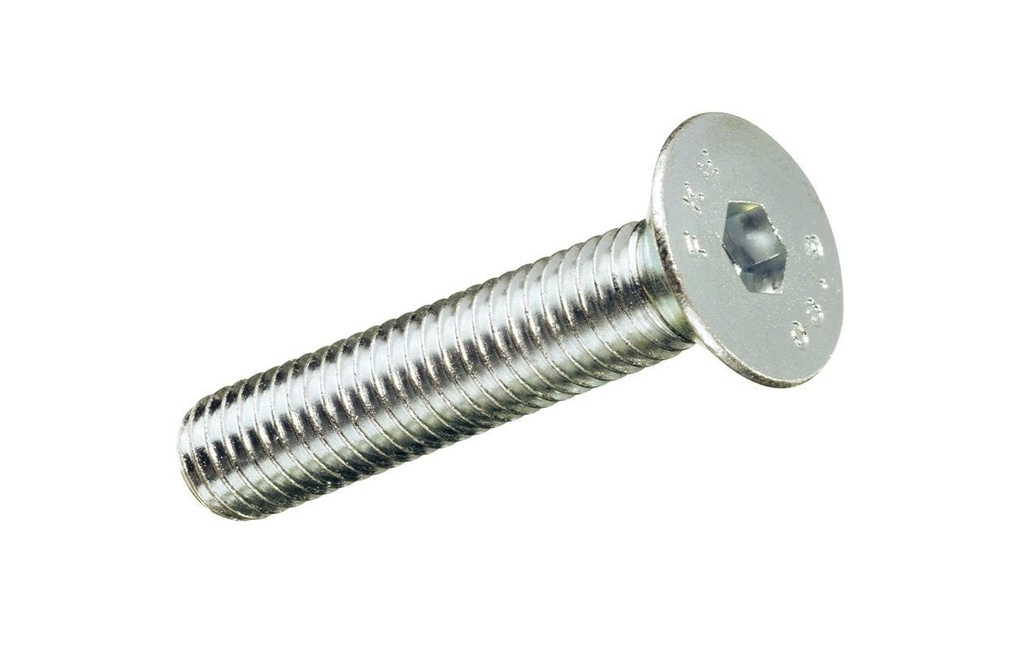 FTM Vis métriques Tête fraisée 4 x 16 mm Acier, 10 pièces