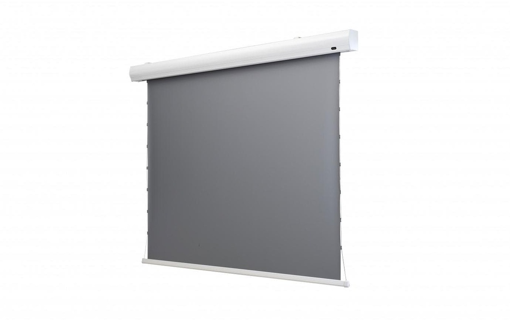 Celexon Écran mural à tension HomeCinema Dynamic Slate ALR 221x124cm 16:9