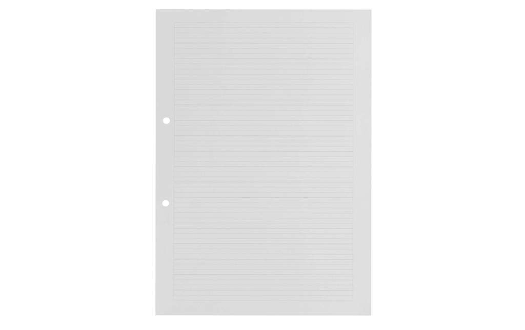 INGOLD-BIWA Flles rech.A4 5mm lig.cad.2tro (500 pces)