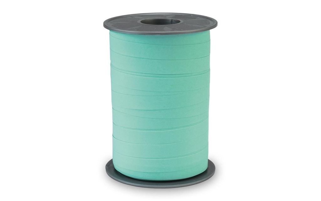 Pattberg Ruban cadeau Opak Matt 1 cm x 200 m, menthe