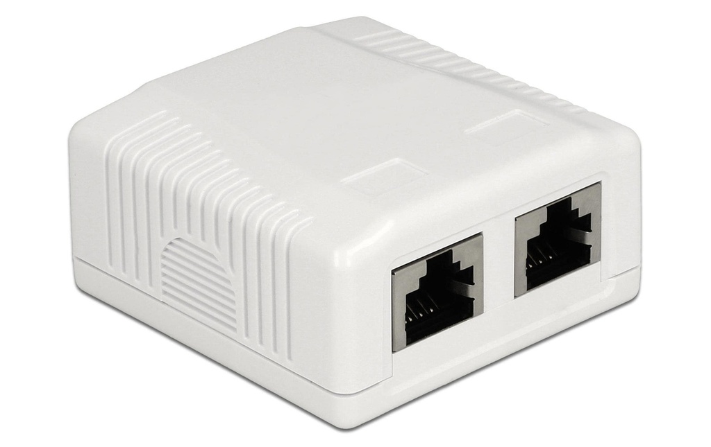 Delock Boîtier RJ45 Cat.6A LSA 2 fois