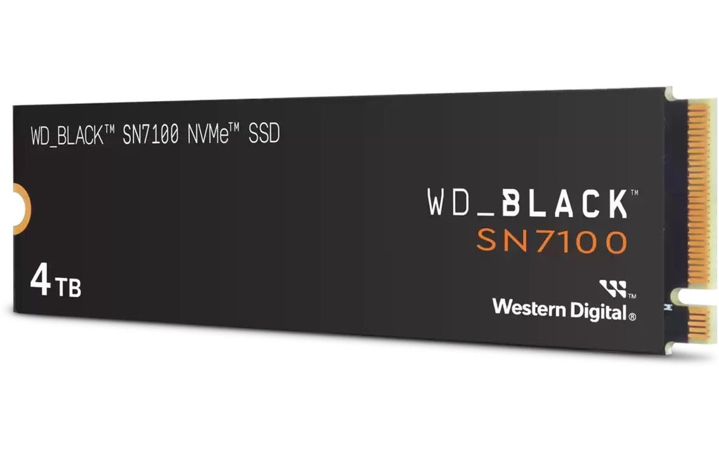 SanDisk SSD SN7100 M.2 NVMe 4000 GB