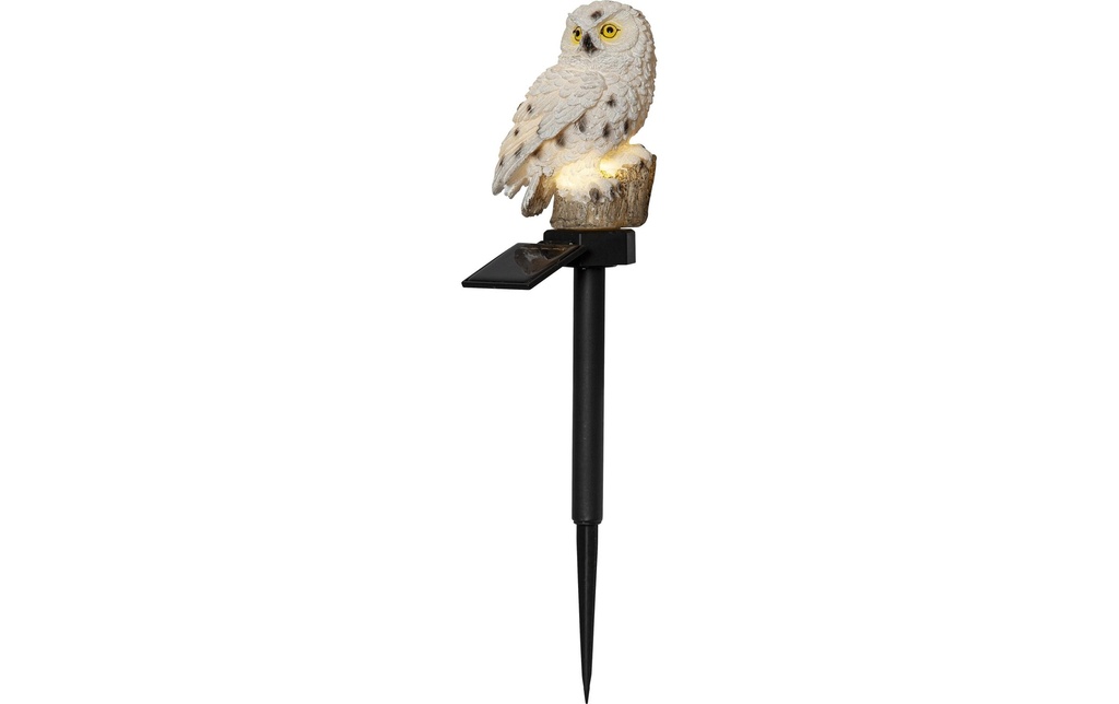 Star Trading Éclairage de jardin Décoration solaire Owl, Beige