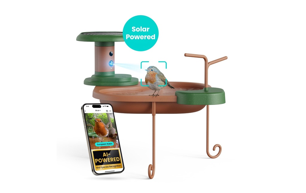 Birdfy Birdfy Bain d'oiseaux Jolly V