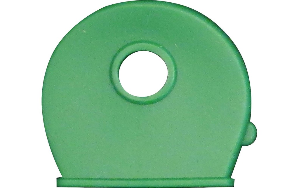 Robert Rieffel Capsules-clés 100 pièces, vert