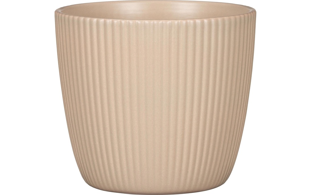 scheurich Pot de fleur Aura Dry Reed, 24 cm