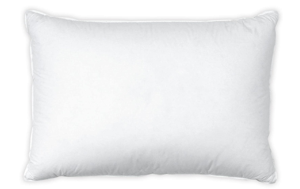 Interio Bettwaren Oreiller classique Nature Regular 50 x 70 cm