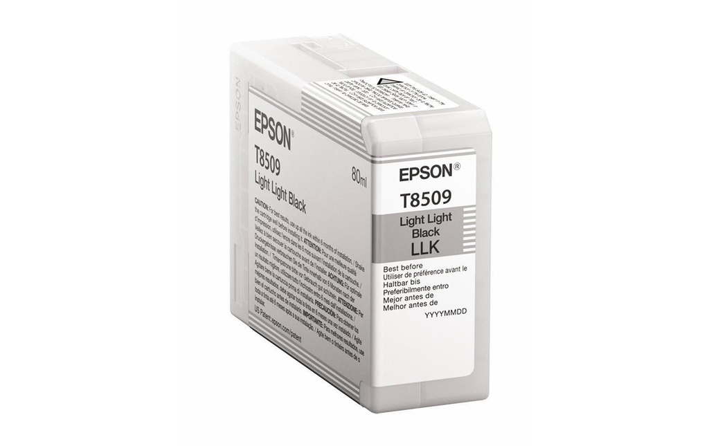 Epson Encre C13T850900