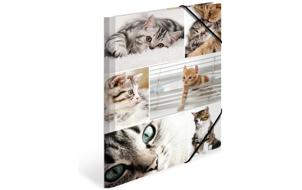 HERMA Dossier rang. A4 chats