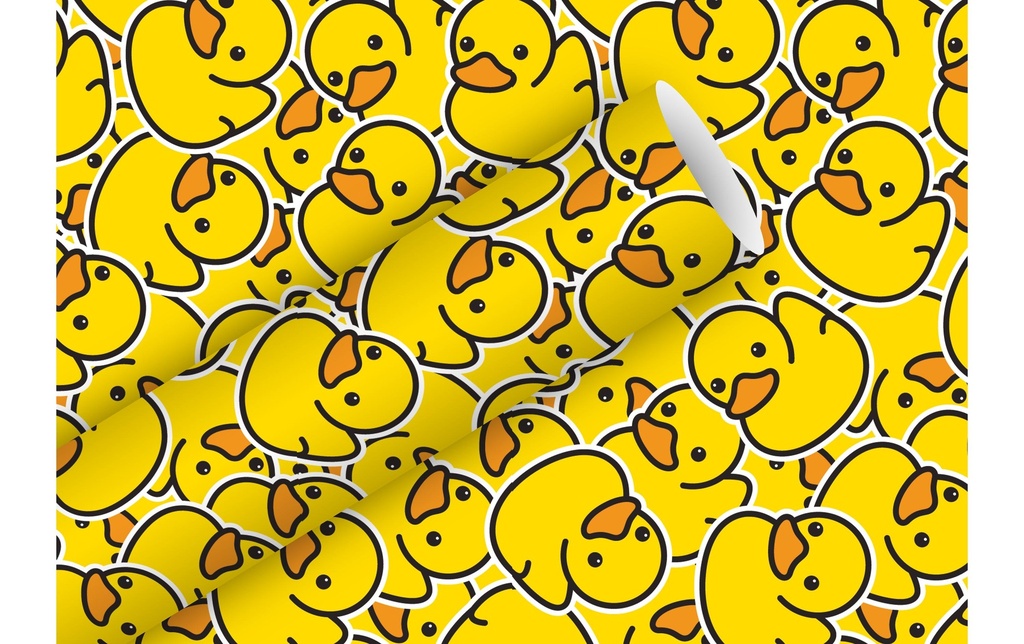 Braun + Company Papier cadeau Little Ducks 2 m x 70 cm