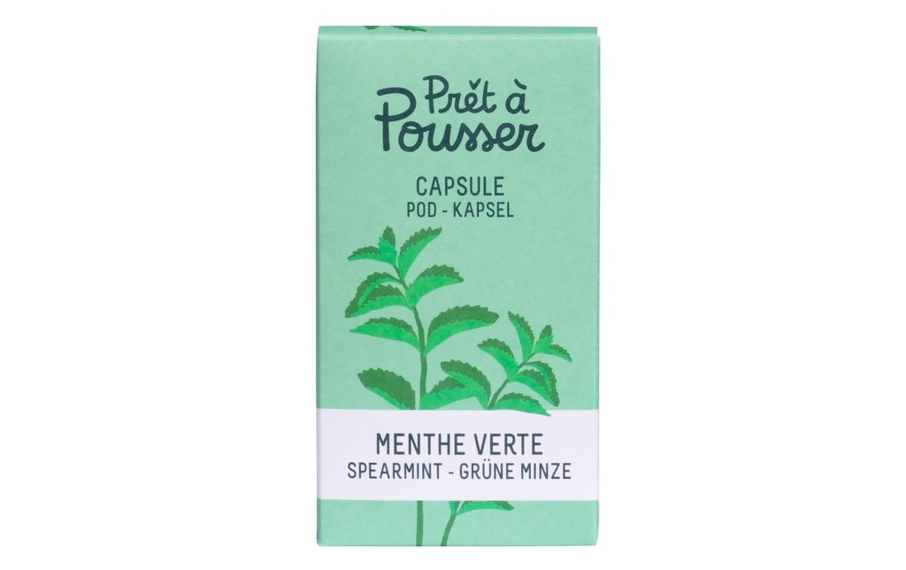 Prêt à Pousser Semence menthe verte