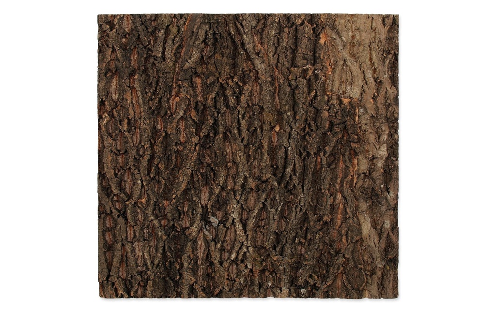 Repti Planet Paroi arrière en liège 58.5 x 56 x 2 cm