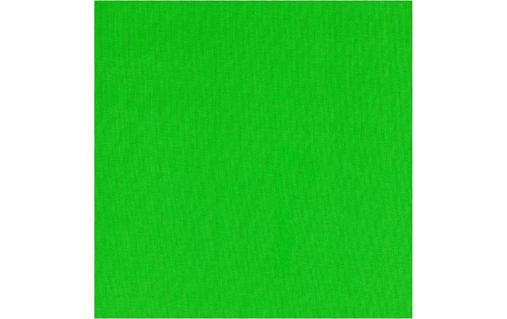 Creativ Company Tissu 145 cm x 200 cm, Vert