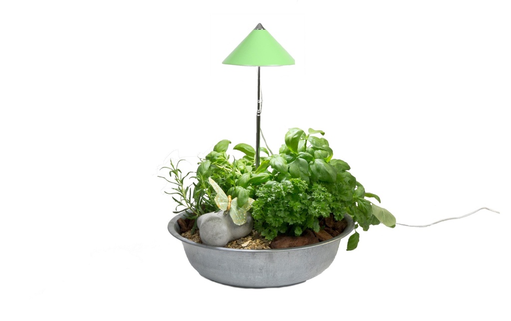 Venso Solutions Lumière de plantes SunLite 7 W, Vert