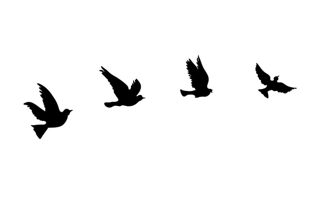 Wallxpert Décoration de mur Oiseaux 4 pièces
