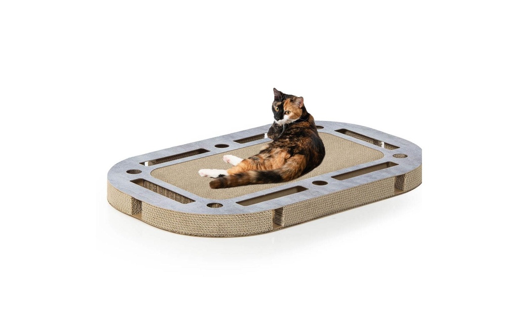 CanadianCat Jeux de stratégie pour chat Playplaque