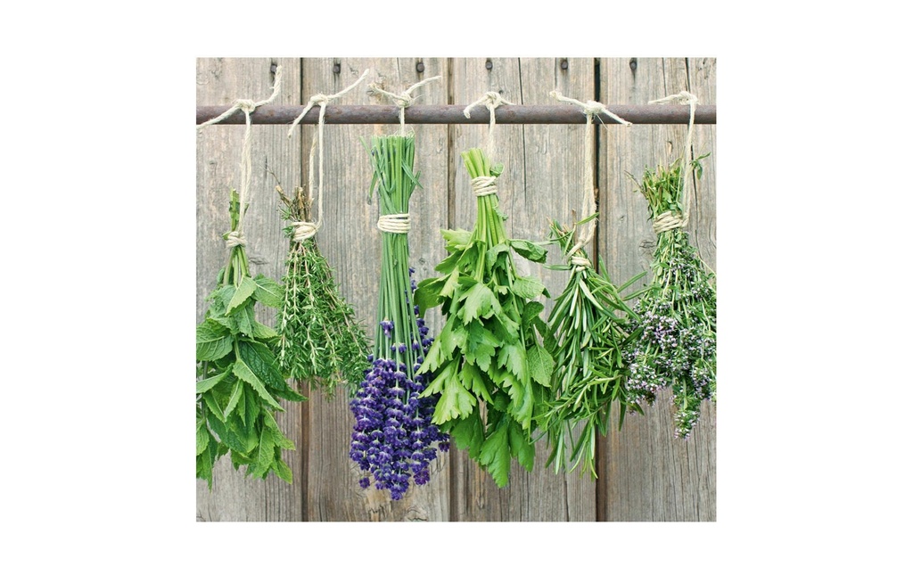 Zeller Present Plaque de recouvrement de four Herbes aromatiques