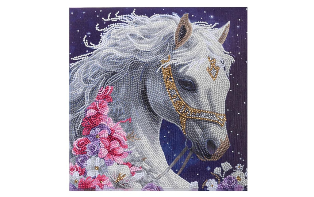 CRAFT Buddy Kits de bricolage Mystic Beauty Crystal Art Kit 30 x 30 cm