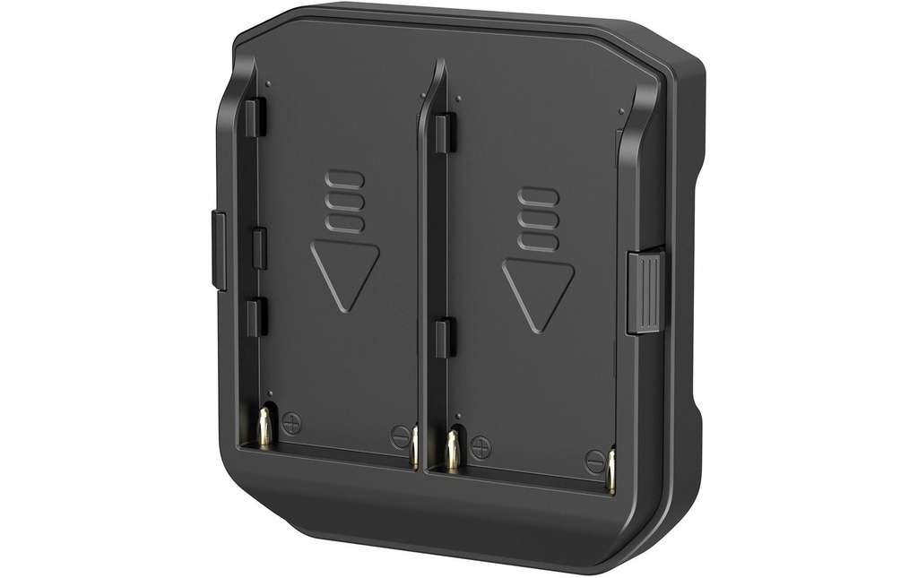 Smallrig Plaque de batterie NP-F pour RC 100