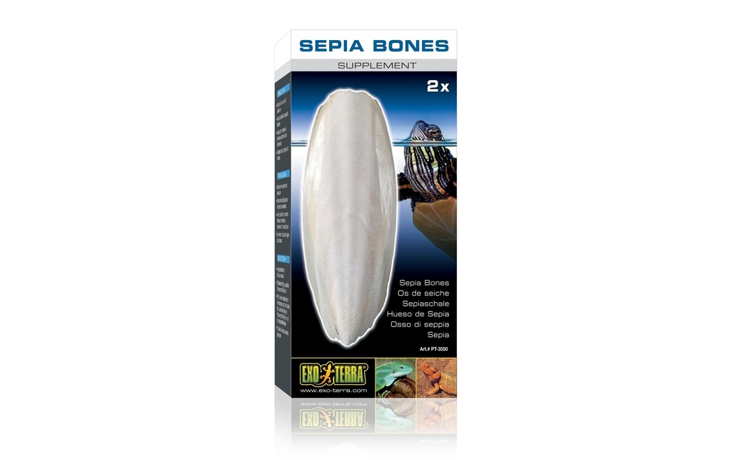 Exo Terra Aliment complémentaire Coquille de seiche, 2 pièces