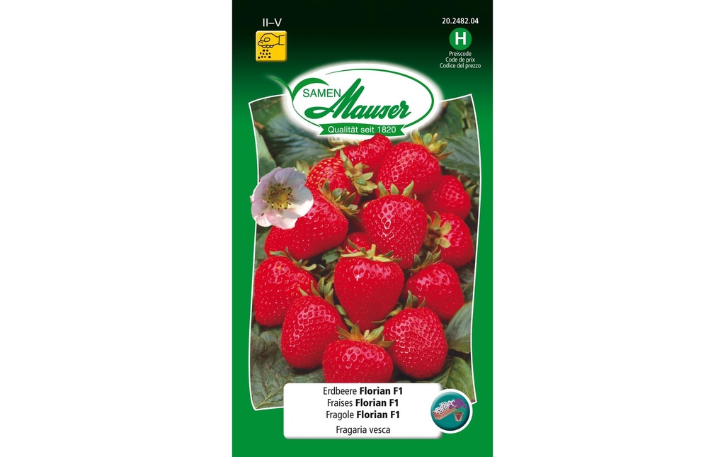 Samen Mauser Semence Fraise Florian F1