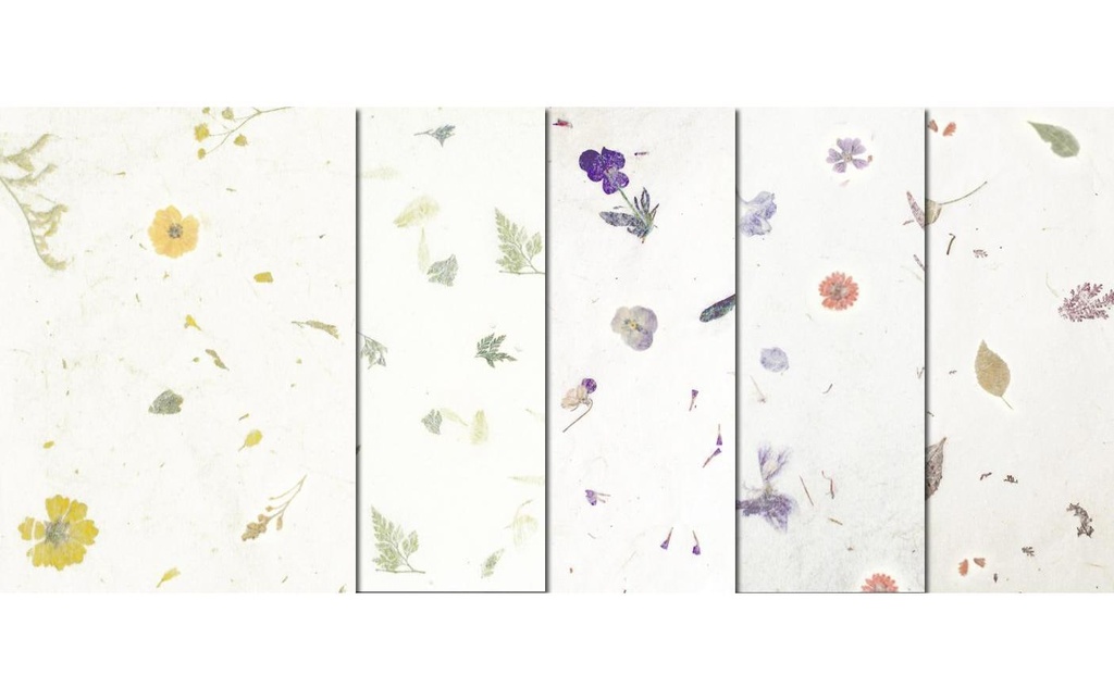 URSUS Papier de bricolage Botanica 23 x 33 cm, 35 g/m², 5 feuilles