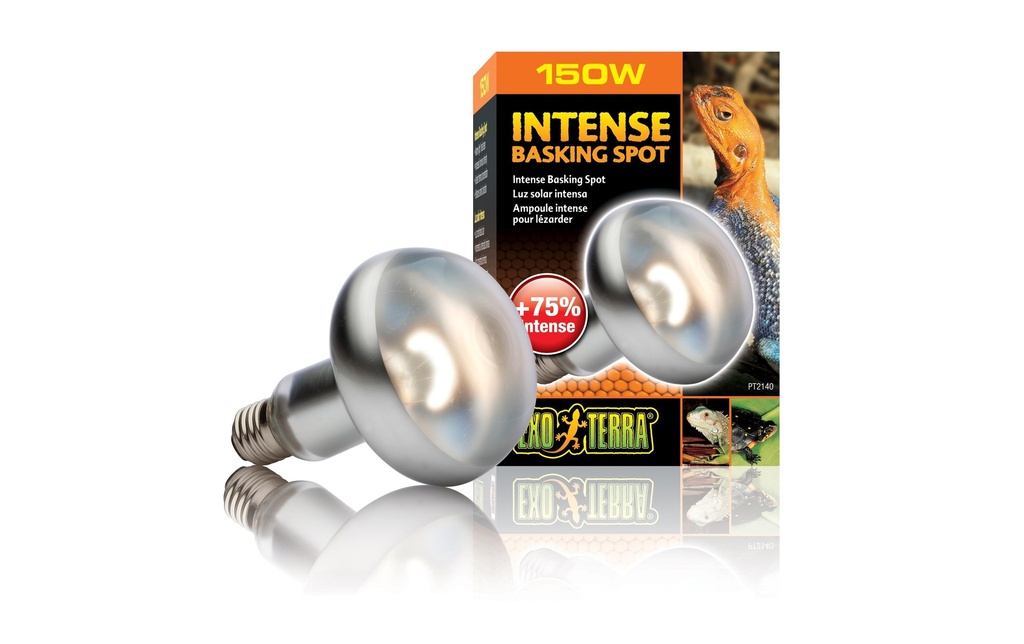 Exo Terra Lampe pour terrarium Intense Basking Spot E27, R30/150W