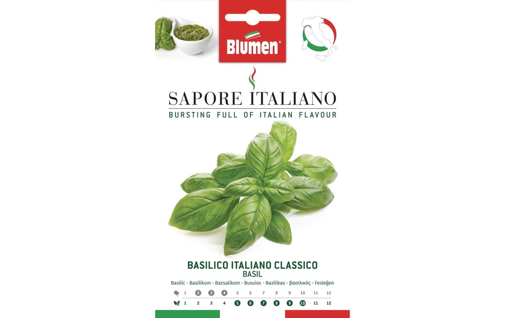 Blumen Semence Basilic Italiano Classico