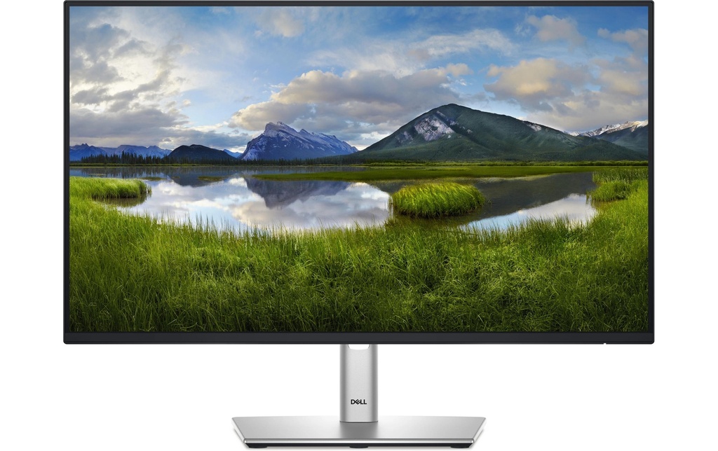 Dell Moniteur P2425HE 23.8 , 1920 x 1080 (Full HD)