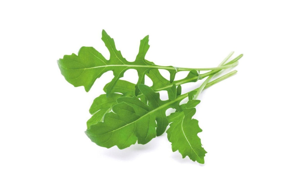 Click and Grow Semence Recharge Rucola set de 3