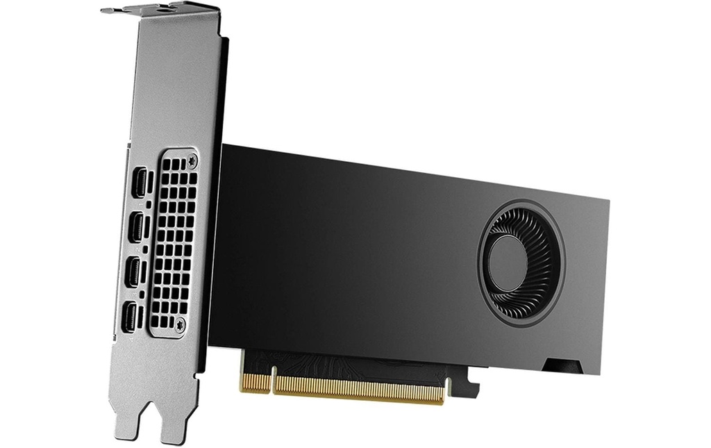 PNY Carte graphique NVIDIA RTX 2000 Ada Generation 16 GB OEM