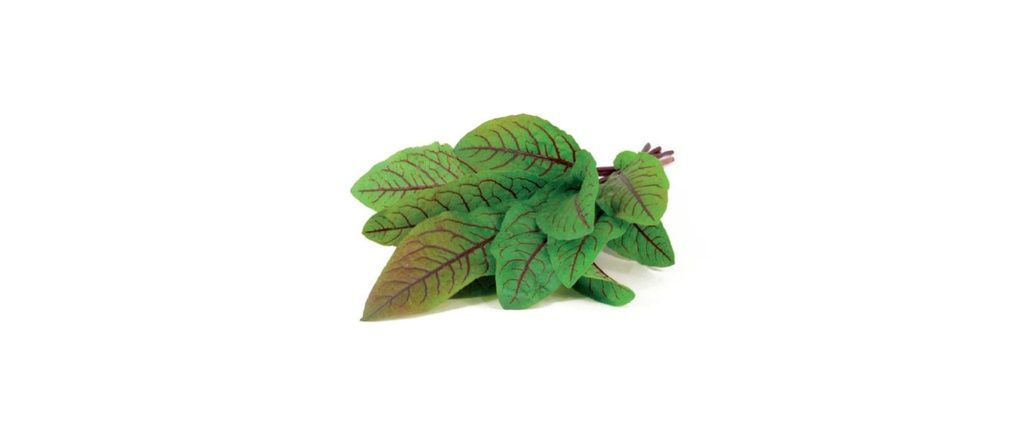 Click and Grow Semence petite oseille des bois