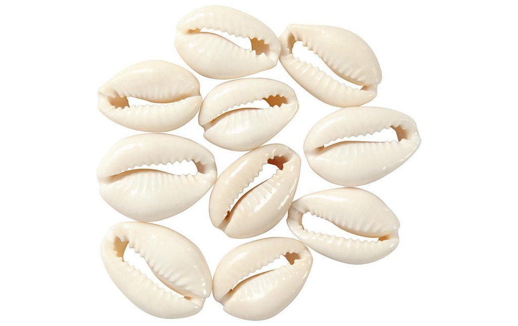 Creativ Company Perles Coquilles, 20 mm, naturel, 12 pcs.