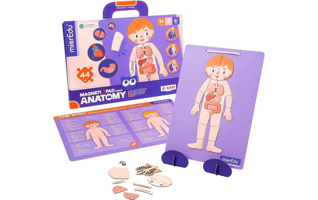 mierEdu Jeux d’enfant Pad magnétique – Anatomie humaine