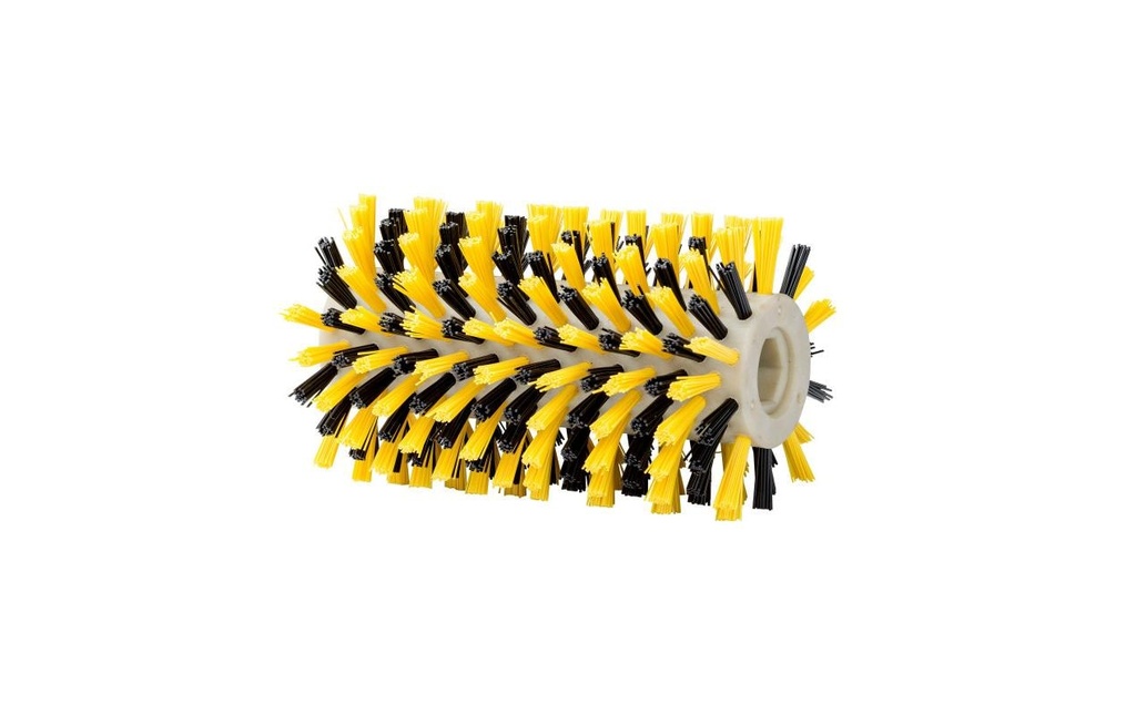 Gloria Brosse en bois universelle