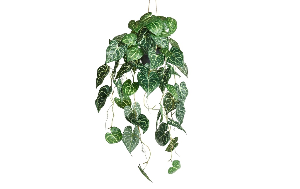 Botanic-Haus Plante artificielle Anthurium suspendu 87 cm