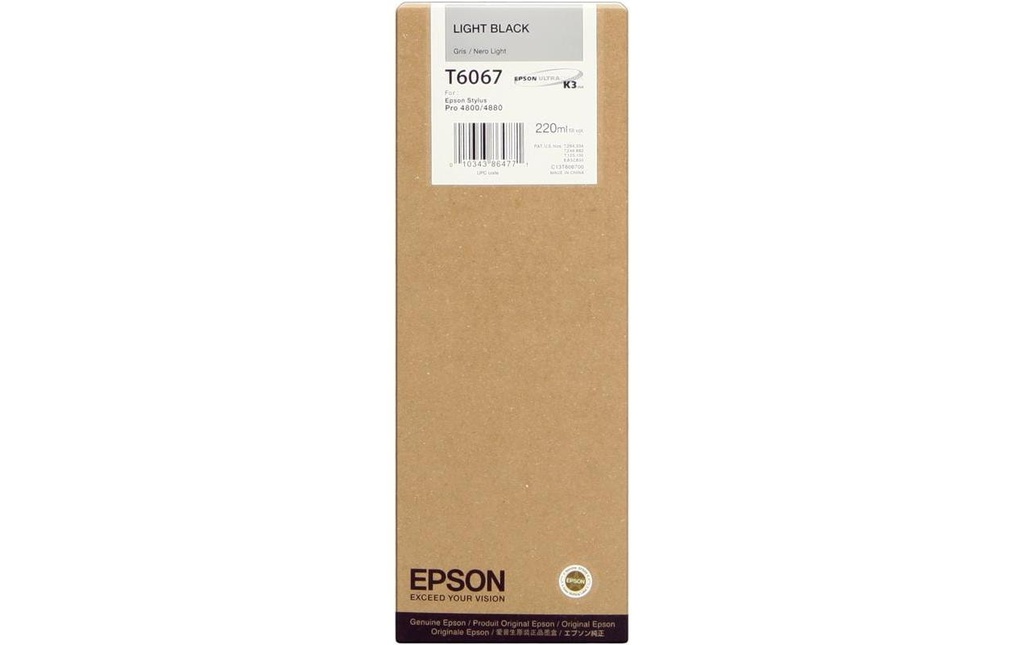 Epson Encre C13T606700 Light Black