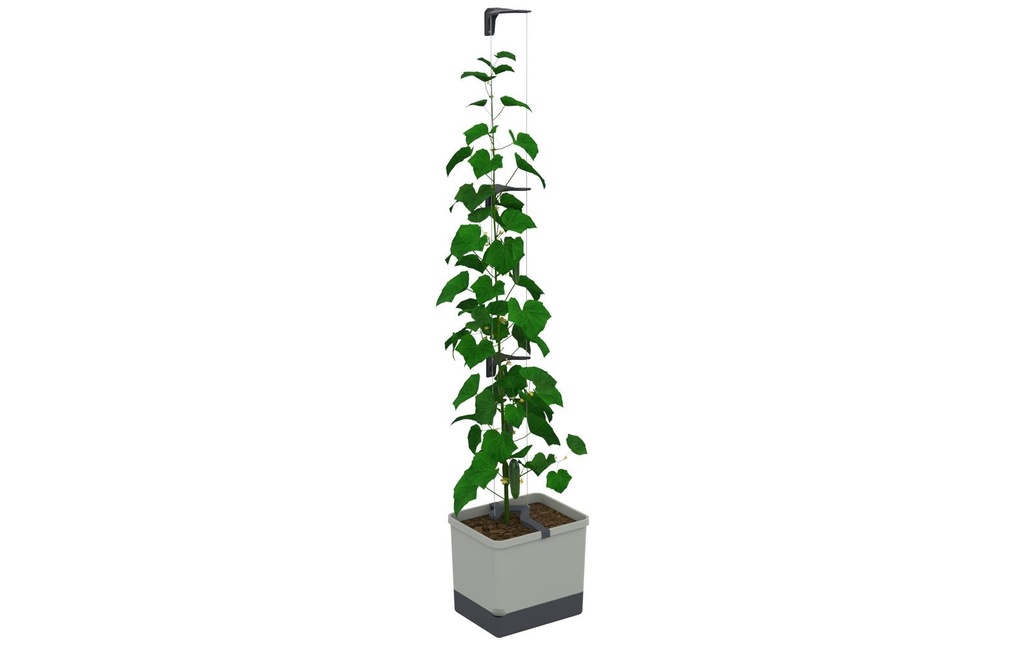 Gusta Garden CURT CUCUMBER Pot de concombre Gris