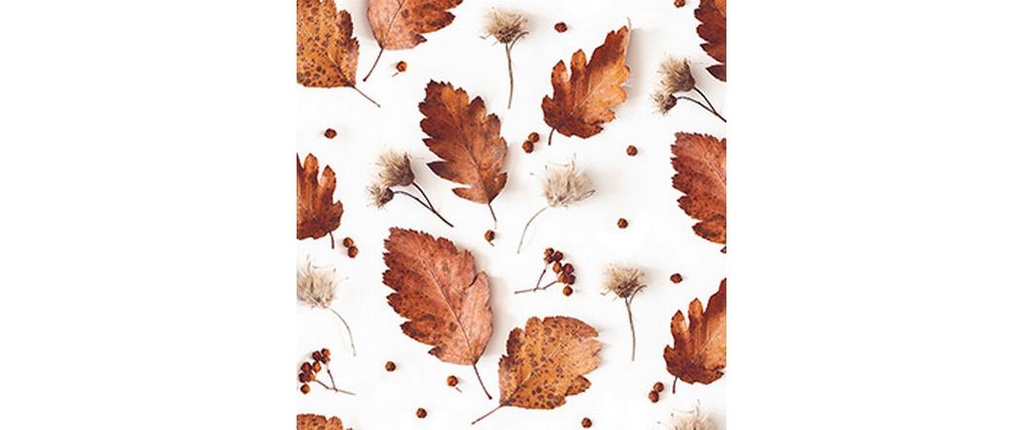 Braun + Company Serviettes en papier Automne doux Blanc, 20 pièces
