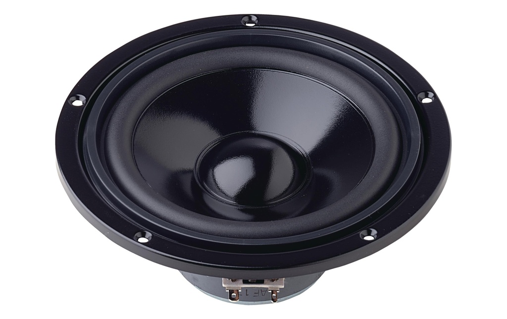Visaton Haut-parleur de graves HiFi W 170 S