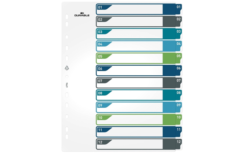 DURABLE Registre A4+, 1-12, 5 couleurs